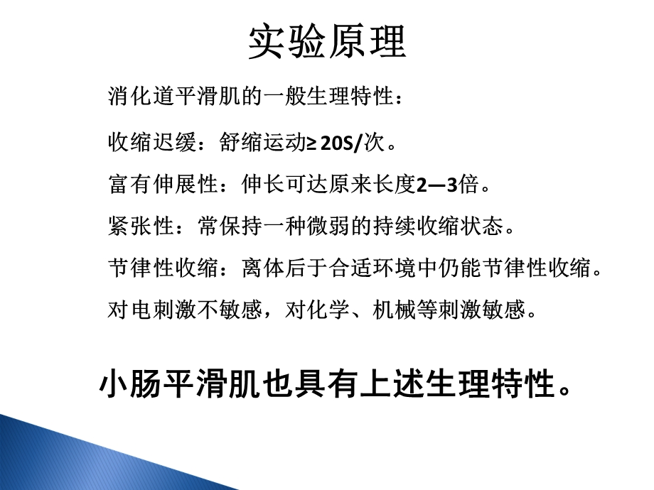 家兔小肠平滑肌实验小肠运动形式的.ppt_第3页