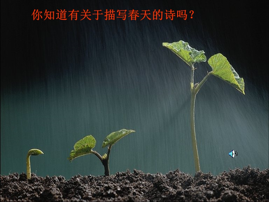 课件(与教案配套).ppt_第1页