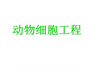 动物细胞工程(课件.ppt