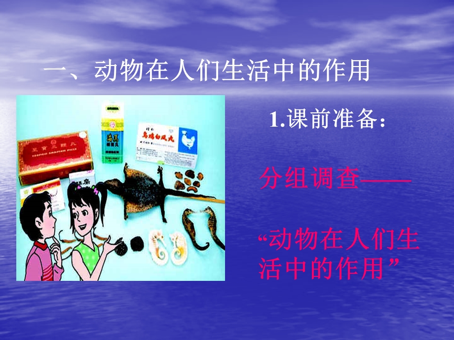 动物与人的关系.ppt_第2页