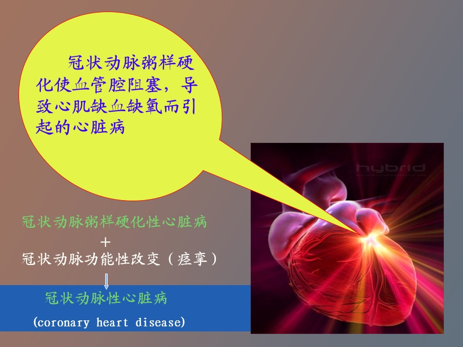 冠心病的药物治疗定.ppt_第3页