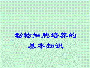 动物细胞培养的基本知识.ppt