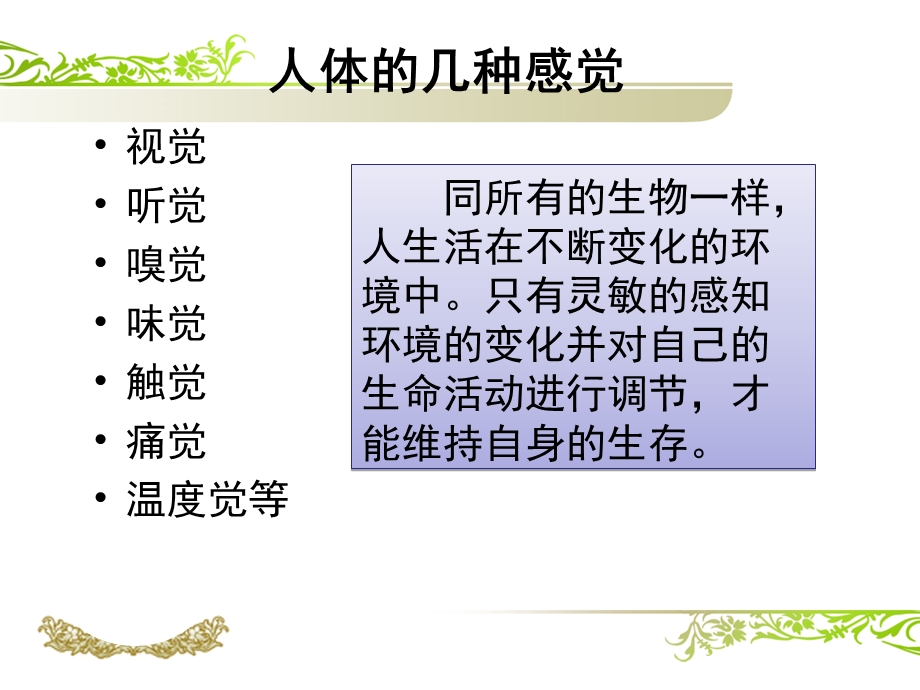 北师大版第12章第2节-感受器和感觉器官(眼与视觉).ppt_第3页