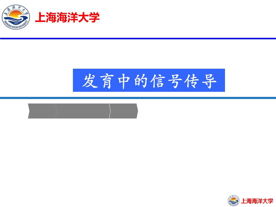 发育中的信号传导.ppt_第1页