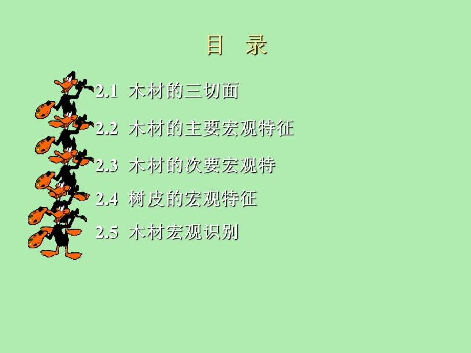 宏观木材学木.ppt_第3页