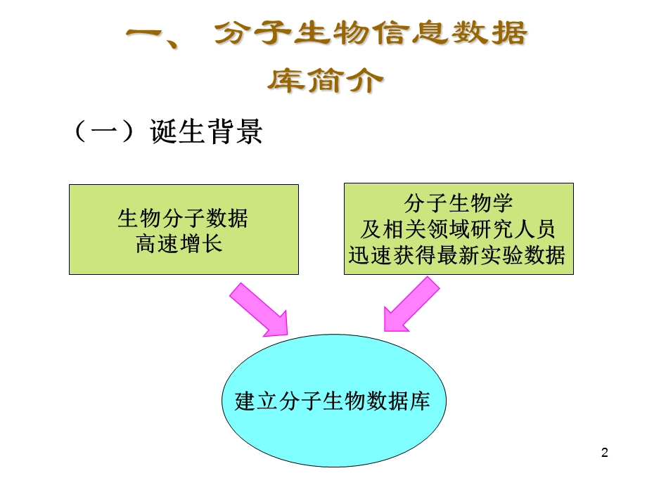 分子生物信息数据库N.ppt_第2页