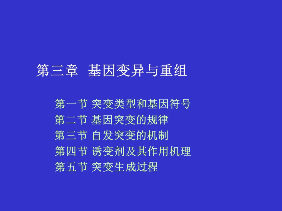 基因突变及其机制.ppt_第1页