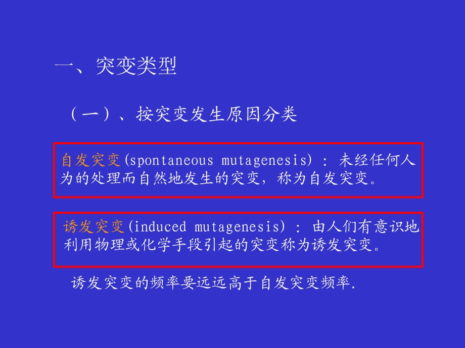 基因突变及其机制.ppt_第3页