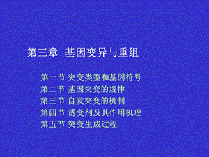 基因突变及其机制.ppt