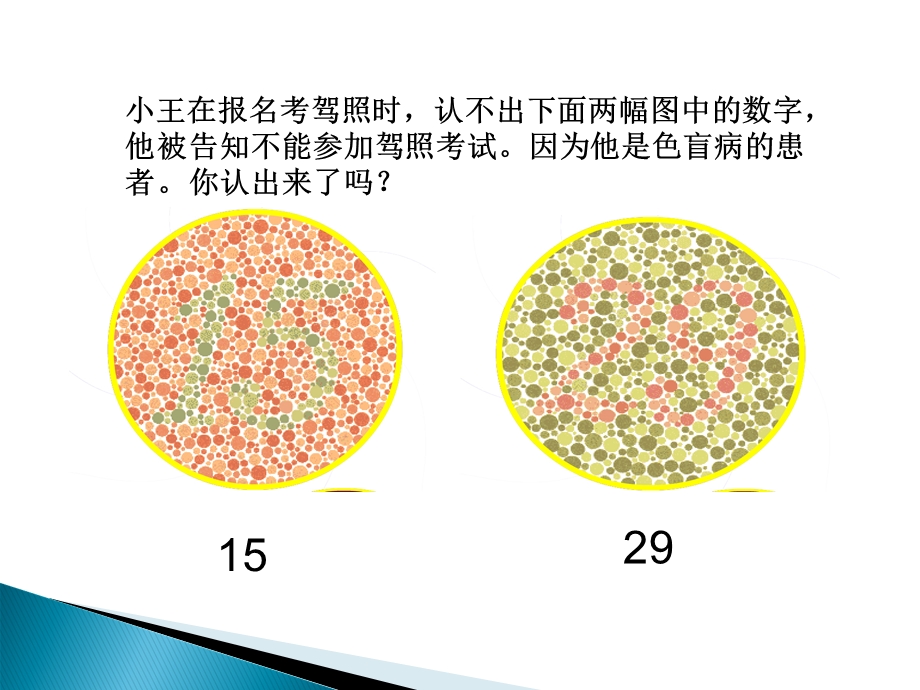 分析色盲病的遗传方式.ppt_第2页