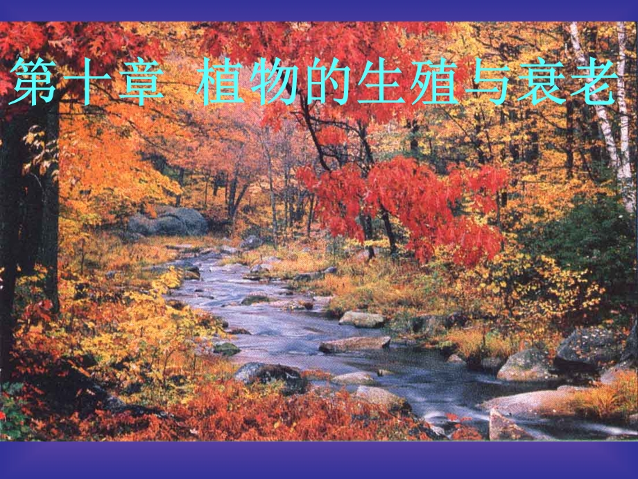 合生植物生理学第十章生殖与衰.ppt_第1页