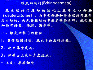 动物学8棘皮动物门Echinodermata.ppt