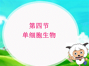 初一生物单细胞生物.ppt