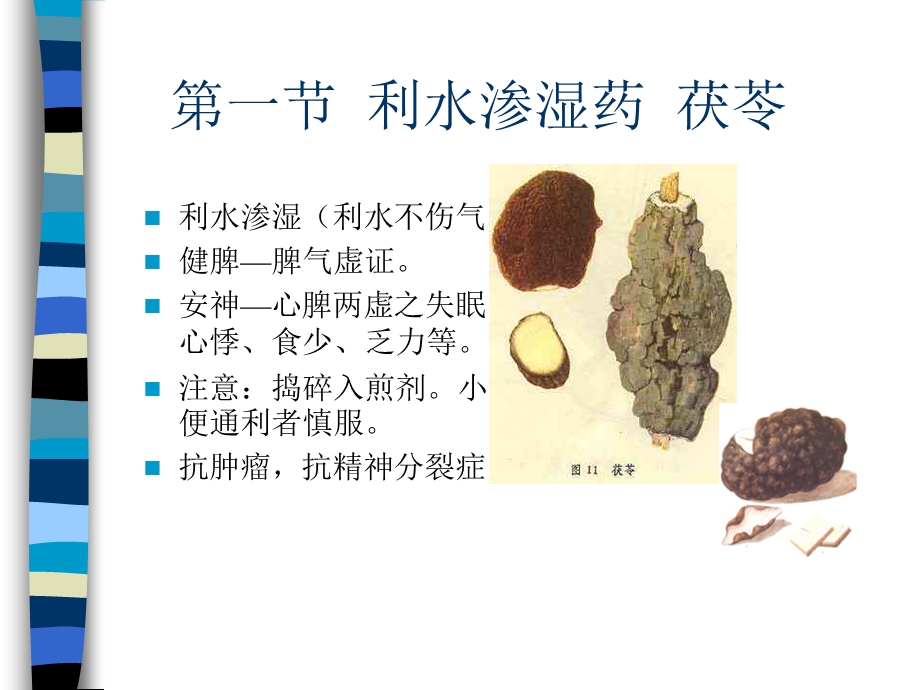 第六章利水渗湿药.ppt_第3页