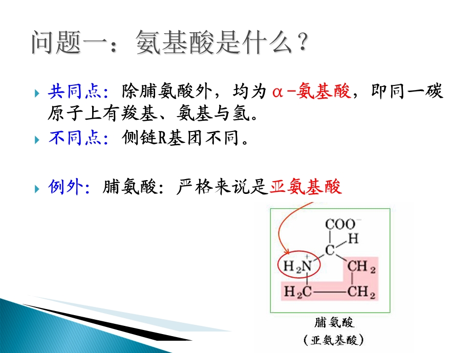 大专生物化学课件新-氨基酸的性质和制备.ppt_第3页