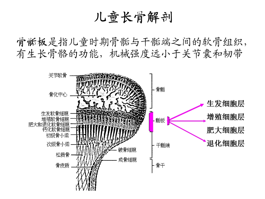 儿童骨骺损伤影像诊断.ppt_第3页