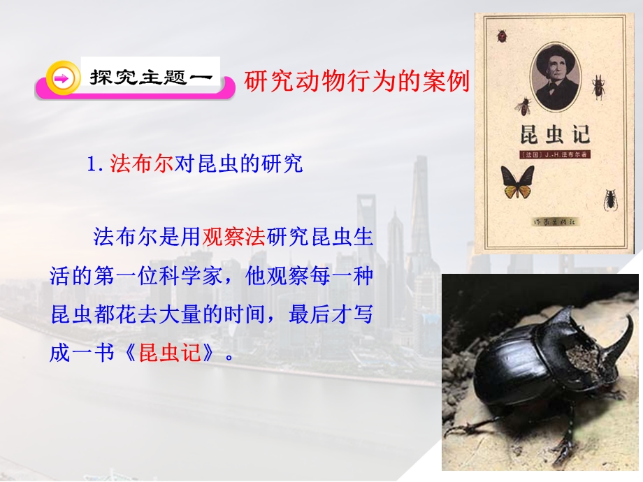 动物行为的研究.ppt_第3页