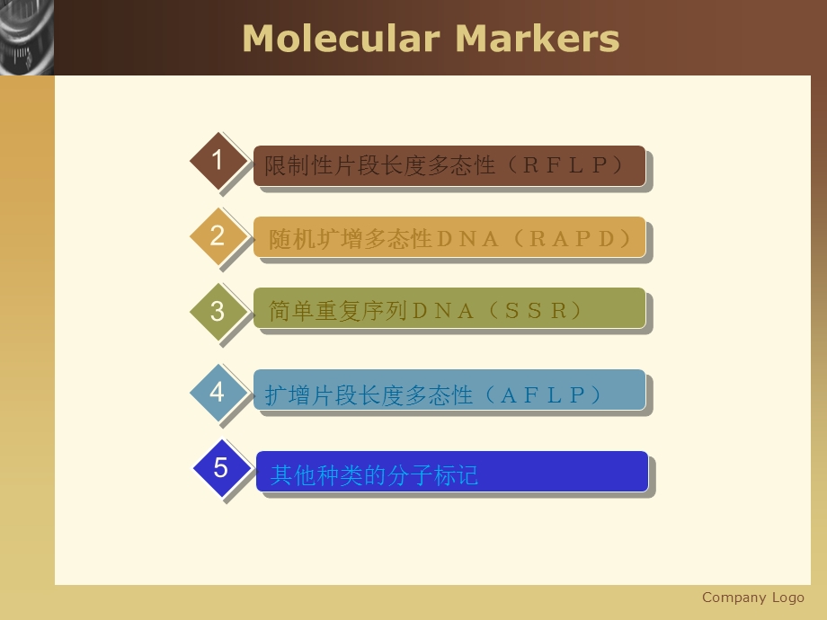 分子标记的类型.ppt_第3页