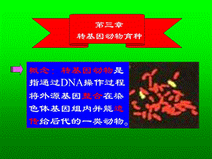 动物分子遗传育种学第4章.ppt