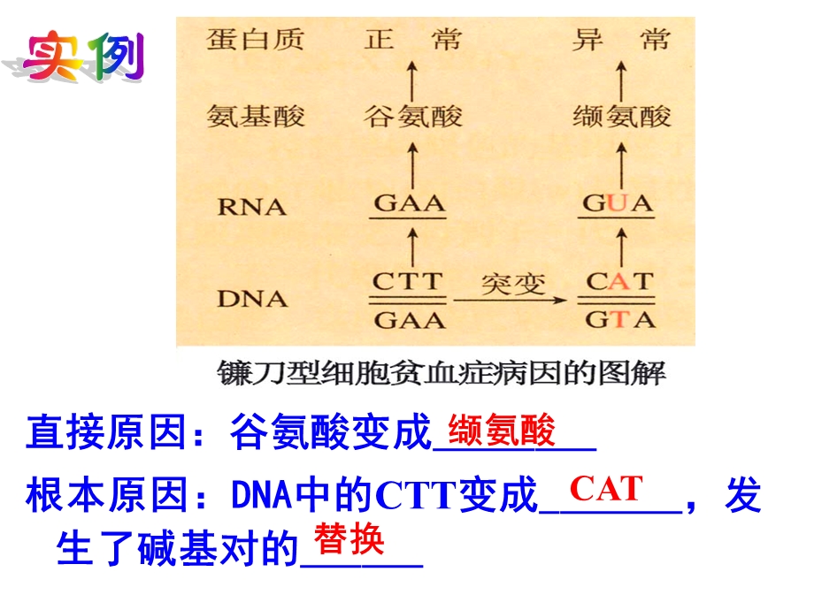 变异与育种专题.ppt_第3页