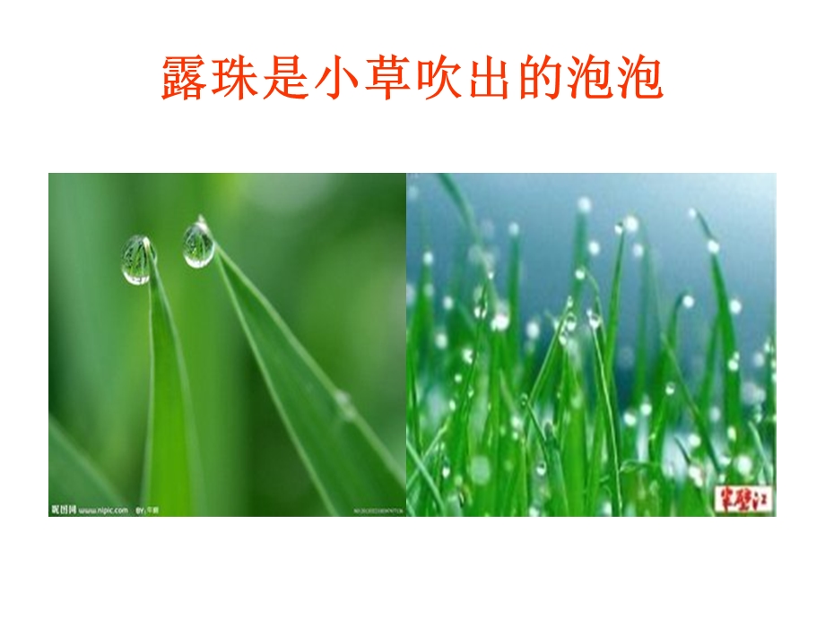 大班唱歌《吹泡泡》.ppt_第3页