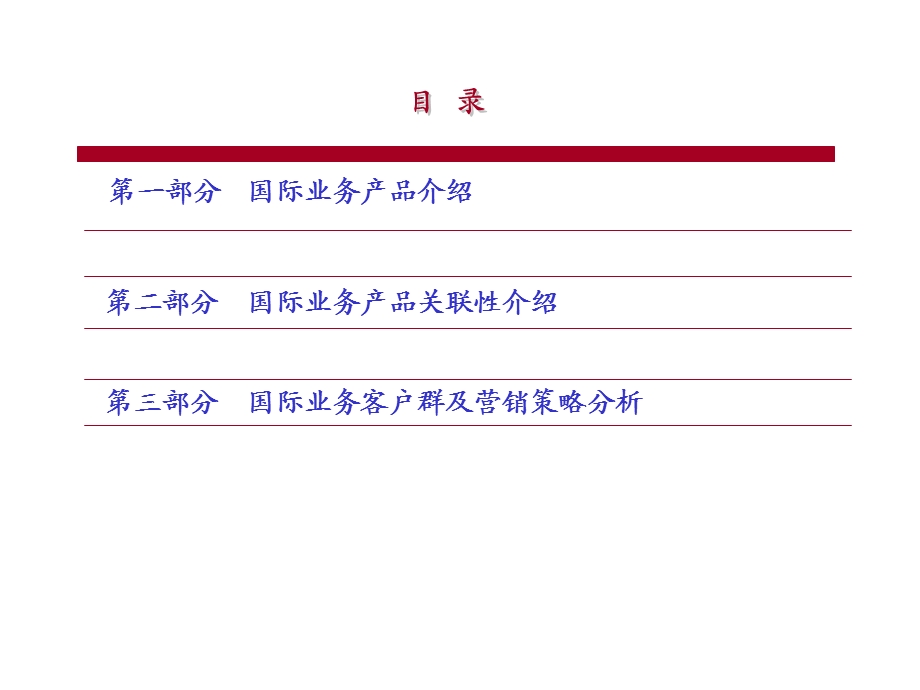 国际业务产品及营销策略.ppt_第2页