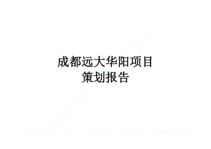 房地产营销报告 成都远大华阳项目策划报告.doc