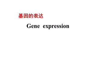 分子生物学第四章.ppt