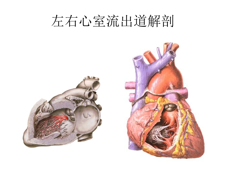 室早室速体表心电图定位诊断.ppt_第3页