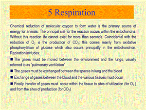 动物生理学5呼吸系统生理上.ppt