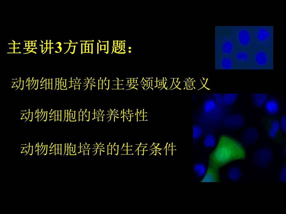 动物细胞培养基本技术与原理.ppt_第3页