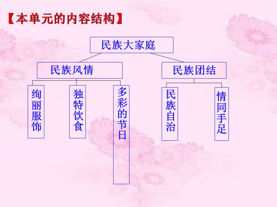 团结的民族大家庭.ppt_第3页