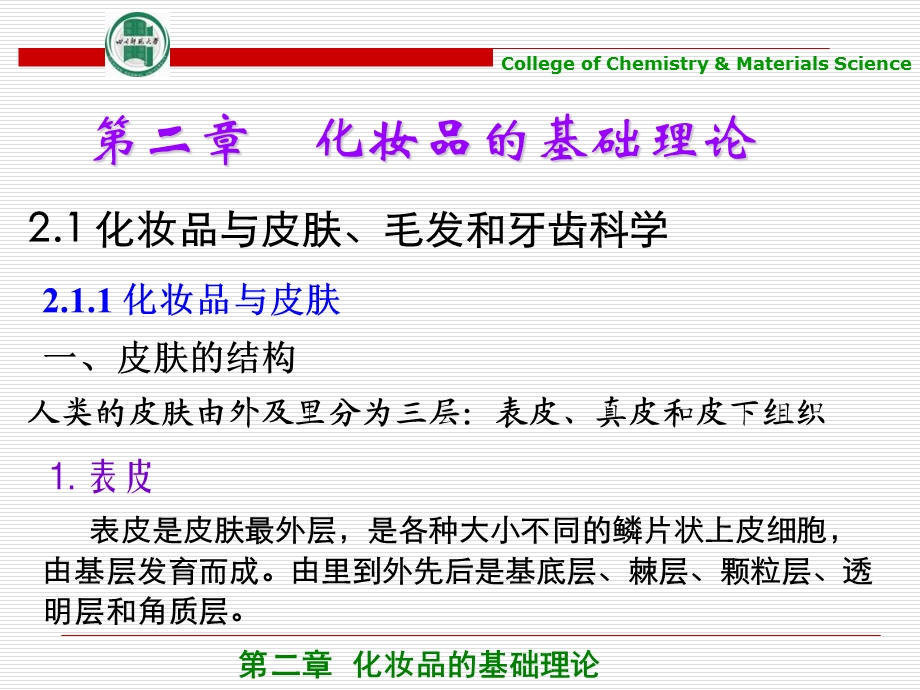 化妆品的基础理论.ppt_第1页