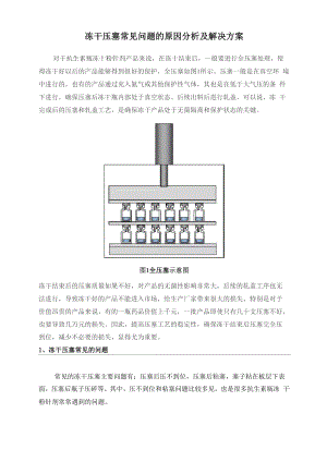 冻干压塞常见问题的原因分析及解决方案.docx