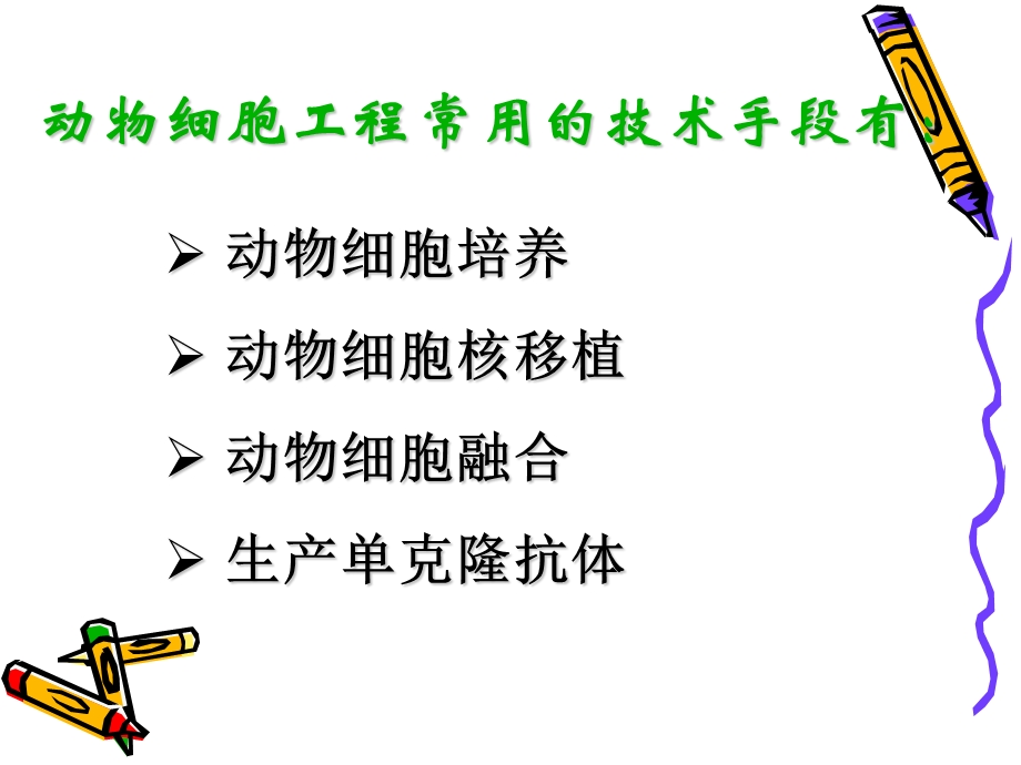 动物细胞工程第二节.ppt_第2页