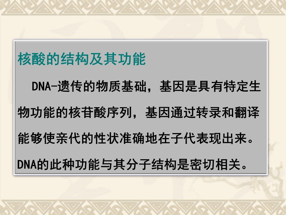 分子生物学第二章DNA结构与复制.ppt_第2页