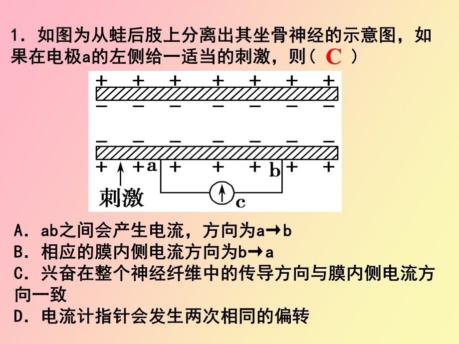 动物生命活动调节分类专训.ppt_第3页