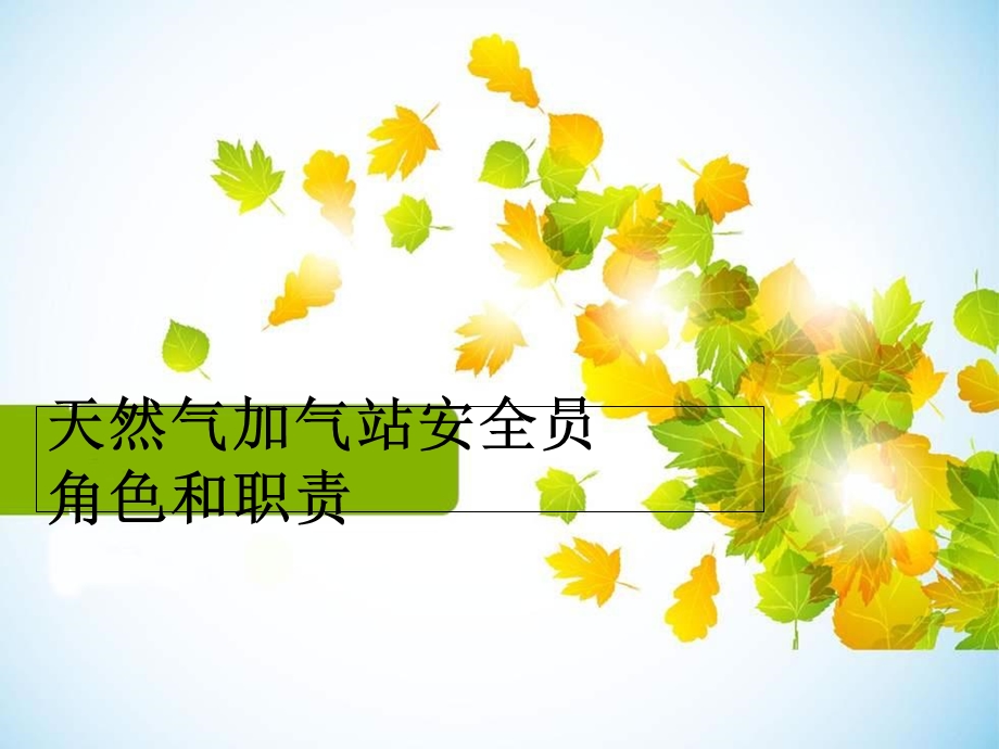 安全员角色和职责.ppt_第1页