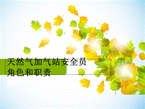 安全员角色和职责.ppt