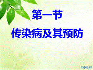 初中生物《传染病及其预防》课件.ppt