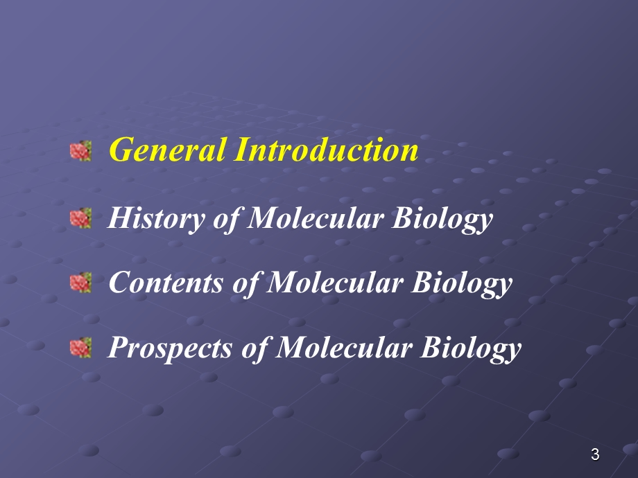 分子生物学01绪论.ppt_第3页