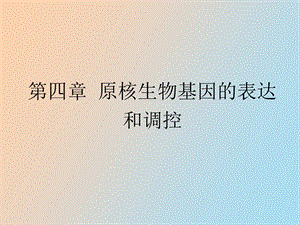 分子遗传学第四章原核生物基因的表达调控.ppt