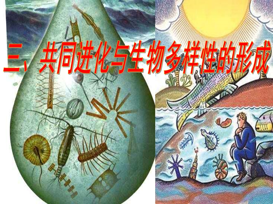 共同进化与生物多样性的形成教学课件.ppt_第1页