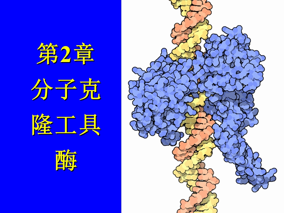 分子克隆工具酶.ppt_第1页