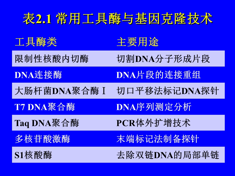 分子克隆工具酶.ppt_第3页