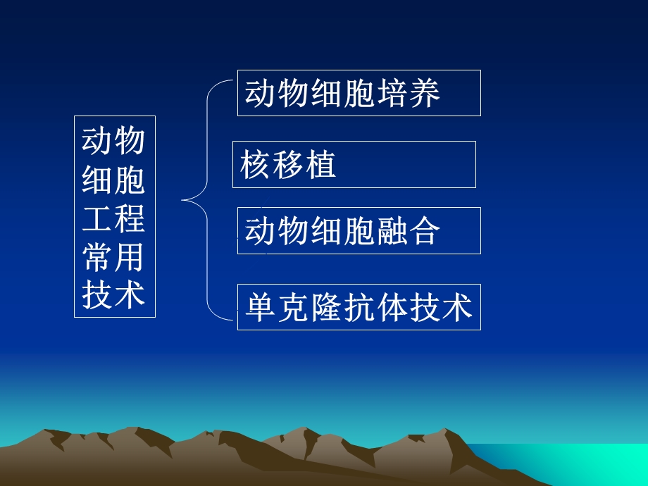 动物细胞工程的应用.ppt_第2页