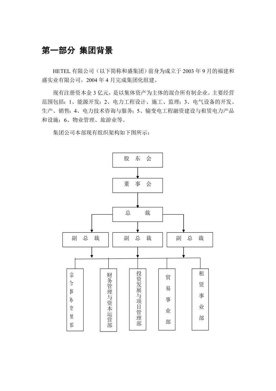 福建和盛集团发展战略.doc_第3页