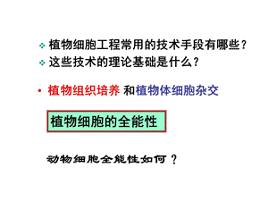 动物细胞培养和核移植技术上课.ppt