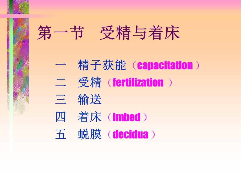 妊娠生理周详过程及图解.ppt_第3页