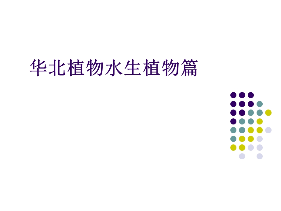 华北植物-水生植物黄.ppt_第1页